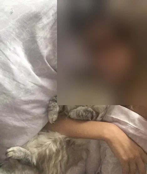 Jaanu