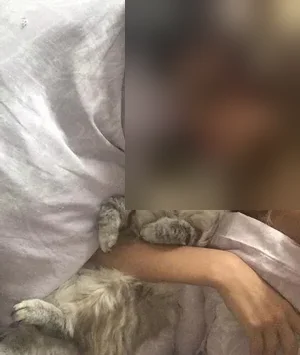 Jaanu